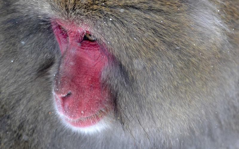 Chennai’s air quality worsened in 2025 as particulate levels rose, new analysis says — Chennai, Chennai local news