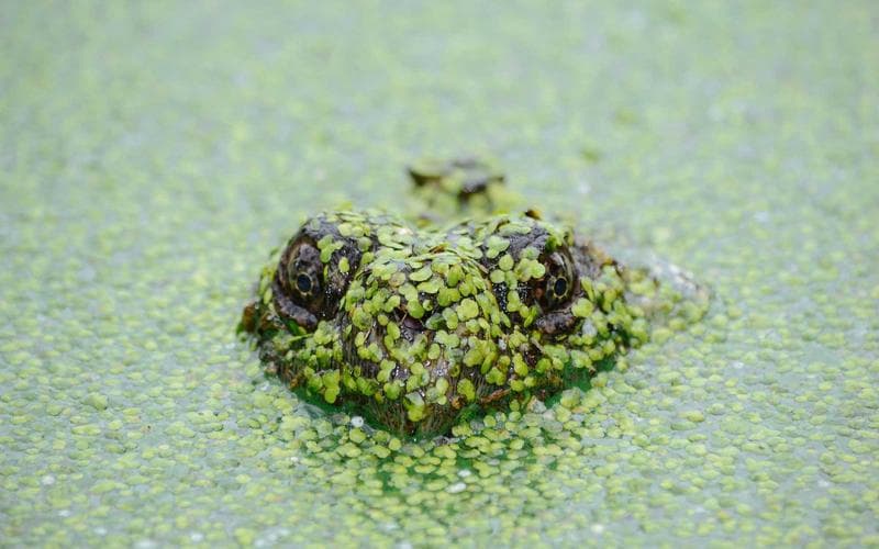 Madras High Court hears plea for SOP on road cuts after Kottur stormwater work hits utilities — Mobility, Chennai local news